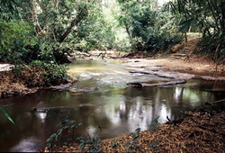 The Slave River at Assin Manso, where captives were washed before being marched to the coastal castles